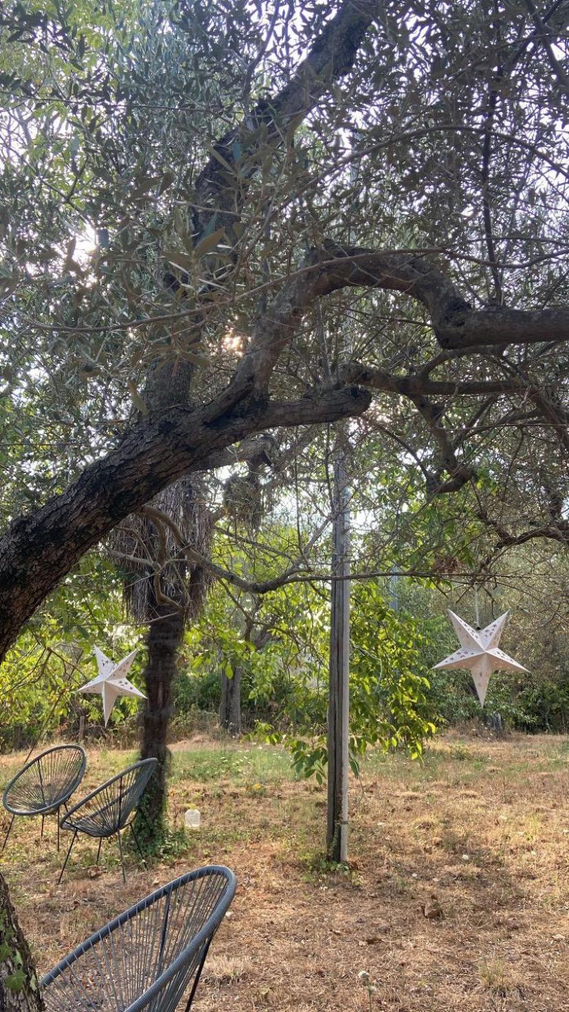 Bolsena Cento20 - Rooms & Relax Exterior photo